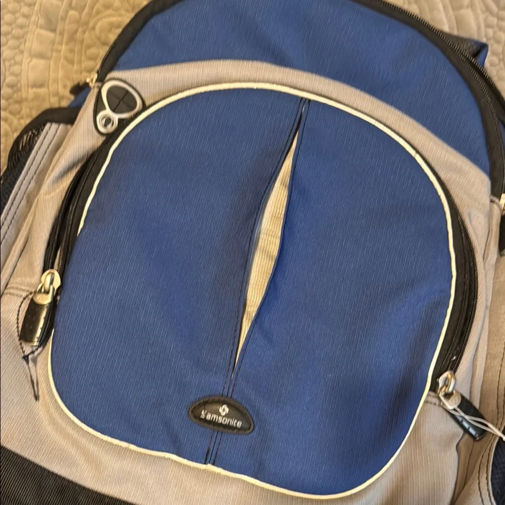Samsonite Classic Blue and Gray Backpack